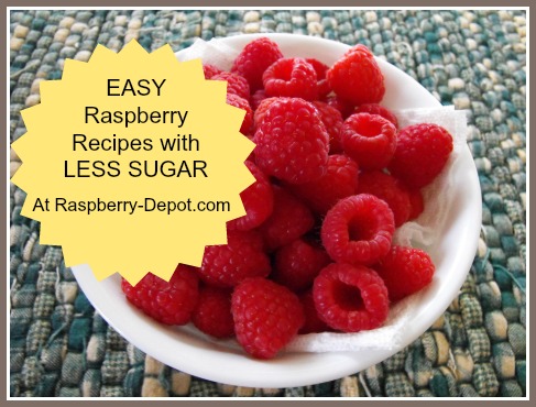 Raspberry Recipes with Less Sugar /Sugar-free for Dieters and Diabetics