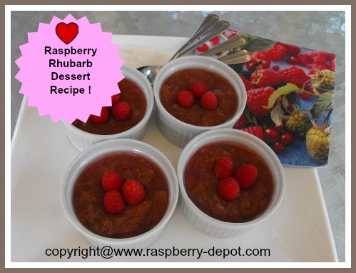 Raspberries and Rhubarb Dessert Recipe