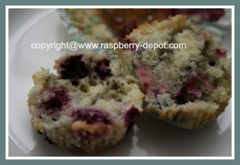 Amazing Recipe Using Wild Black Raspberries 