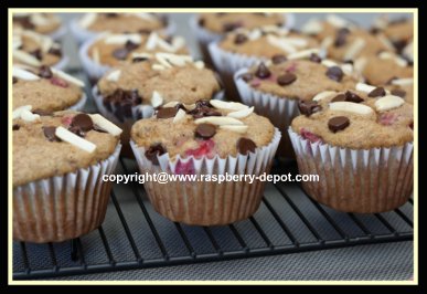 Banana Muffins with Raspberries