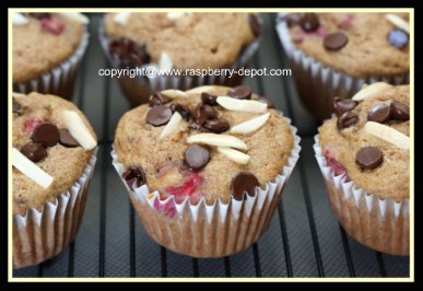 Best Banana Muffins Raspberry Banana Muffins Recipe
