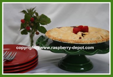 Recipe For Berry Apple Pie