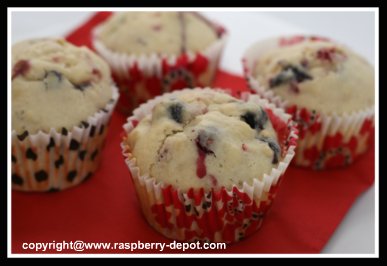 Fruit Muffins with Raspberries, Strawberries and Blueberries to Make at Home