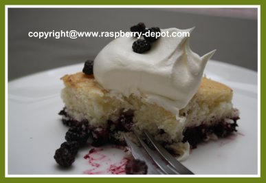 Black Raspberry Cobbler Recipe