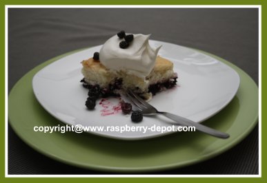 Black Caps Raspberry Cobbler Recipe #blackcaps #wildraspberries #blackraspberrycobbler #raspberrydepot