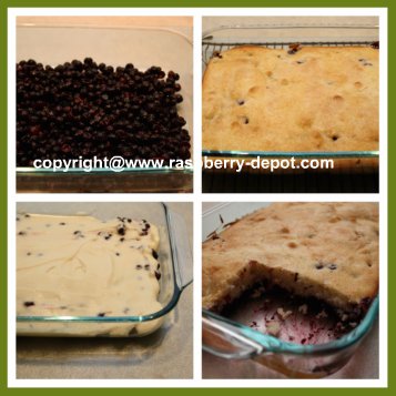 Making a Black Raspberry Dessert Cobbler