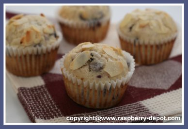 Black Raspberry Muffins