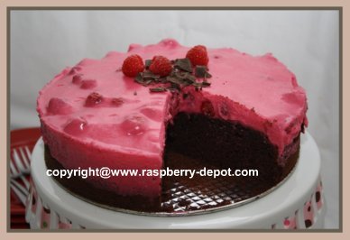 Chocolate Raspberry Cake Easy and Delicious