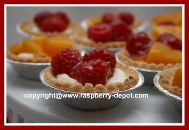Cream Cheese Tarts with Fruit
