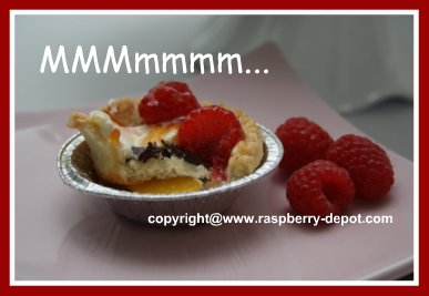 Homemade Fruit Tarts in Store Purchased Tart Pastry  Shell