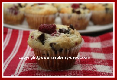 Chocolate Chip Raspberry Muffins