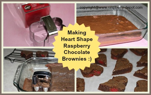 Making Heart Shaped Brownies for Valentine's Day