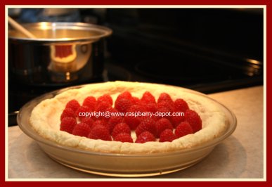 Making a Raspberry Custard Pie Recipe