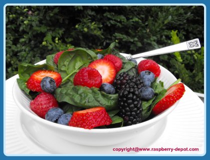 Healthy Spinach Salad with Fresh Berries!