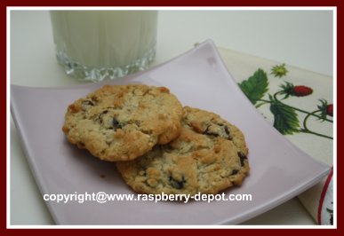 Healthy Homemade Oatmeal Raspberry Chocolate Chip Cookies