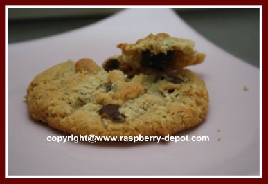Healthy Oatmeal Chocolate Chip Raspberry Cookies Homemade with Dried Raspberries