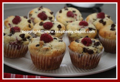 Homemade Chocolate Chip Raspberry Muffins