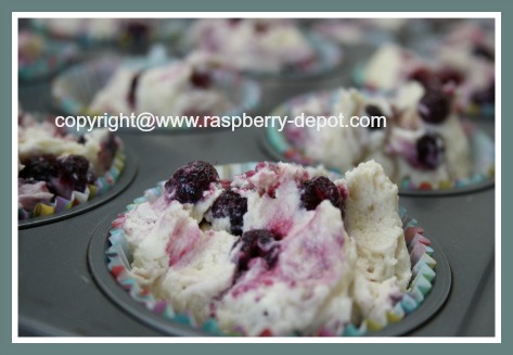 Homemade Wild Raspberry Muffins Recipe