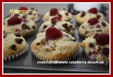 How To Make Raspberry Muffins at Home
