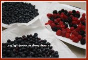 How to Wash Berries when Making a Fresh Fruit Platter