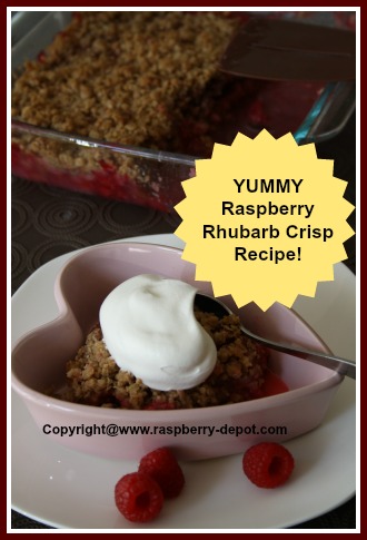Raspberry Rhubarb Desert Crisp Recipe with oatmeal topping -- use fresh OR frozen rhubarb!