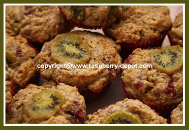 KIWI Muffins Recipe Homemade Delicious and Less Sugar Muffins