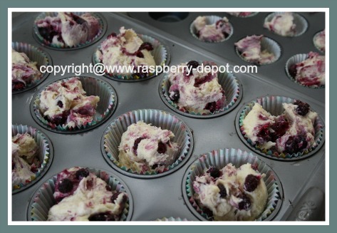 Make Mini Muffins with Raspberry Fruit 