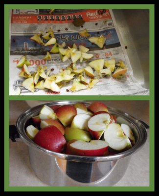 Making Applesauce /Cutting Up the Apples Making Applesauce /Cutting Up the Apples
