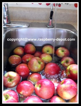Washing the Apples to Make Homemade Applesauce