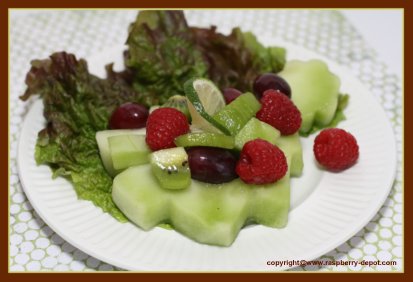 Christmas Fruit Salad Idea with Honey Dew Lemon Cut-out - Recipe Idea