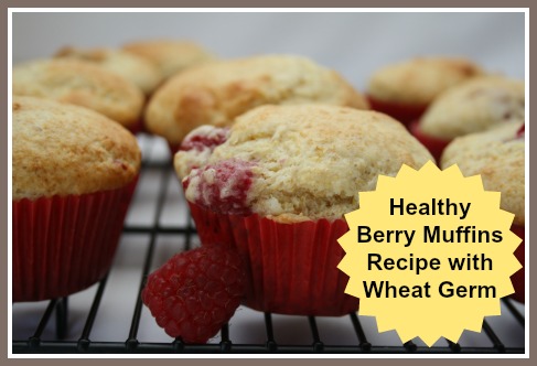 Healthy Berry Muffins Recipe with Wheat Germ