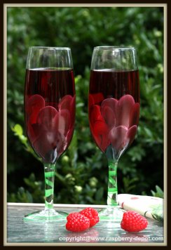 Homemade Raspberry Wine Recipe