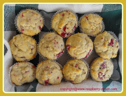 SUGAR FREE Raspberry Banana Muffins made with sweetener, not sugar