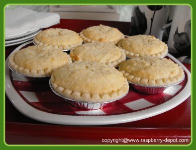Homemade Coconut Raspberry Tarts