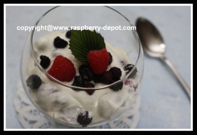 Fresh Raspberries and Sour Cream Dessert
