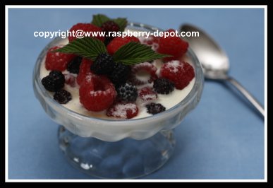 Fresh Raspberries and Cream Image