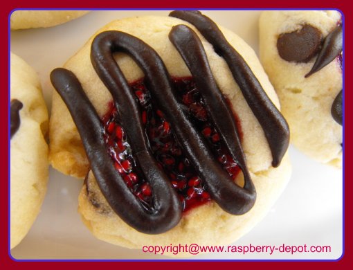 Raspberry Chocolate Chip Thumbprint Cookies with Jam Centers