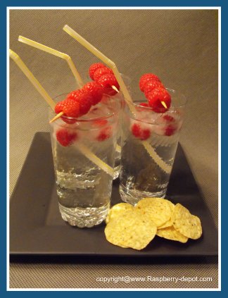 Ice Cubes with Raspberry Fruit Inside