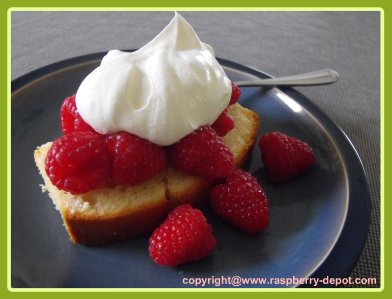 Best Pound Cake Recipe with Raspberries