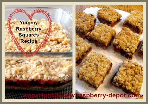 Yummy Recipe for Baked Raspberry Jam Bars baked in a 8" square baking dish