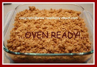 Homemade Rhubarb and Raspberry Crisp with Oatmeal Topping