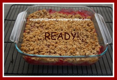 Yummy Dessert Recipe made with Raspberries and Rhubarb