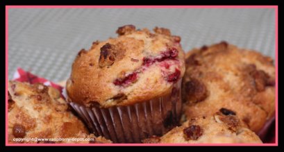 Homemade Healthy Raspberry Rhubarb Muffins Recipe
