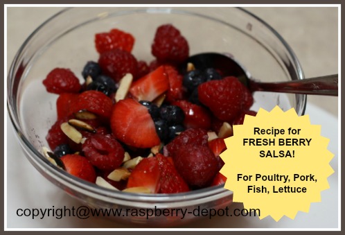 Homemade Fresh Fruit Salsa Recipe with Raspberries, Blueberries and Strawberries