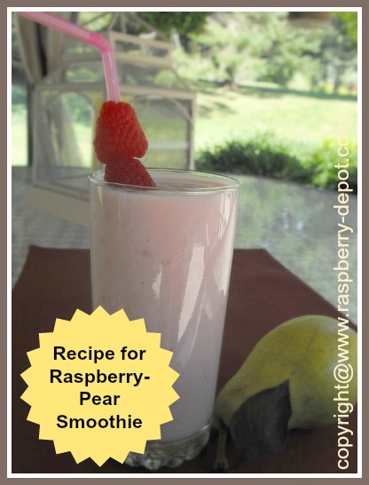 Homemade Smoothie Recipe made with Pears and Raspberries
