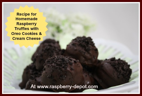 Homemade Chocolate Raspberry Truffles Recipe