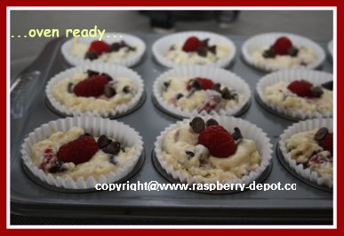 Making Chocolate Chip Muffins with Berries
