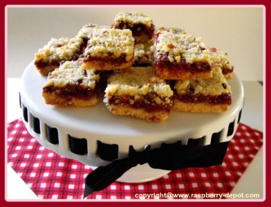 Red Raspberry Squares Recipe Christmas Baking