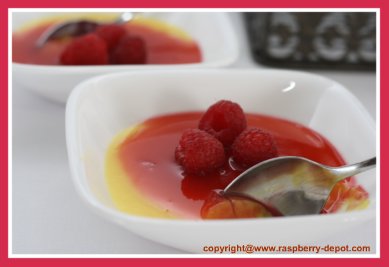 Raspberry Sauce on Pudding Homemade Recipe for Raspberry Sauce