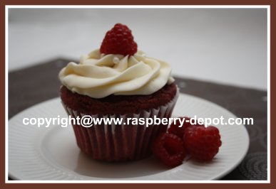 Home Baked Red Velvet Cupcake with Cream Cheese Frosting /Icing